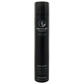 Paul Mitchell Awapuhi Wild Ginger Shine Spray 125ml