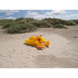 Bouncing Buddy Billy the Crab