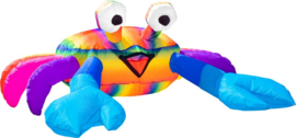 Stuiterende Buddy Billy de Krab regenboog 3m