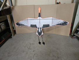 gans wit