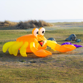 Stuiterende Buddy Billy de Krab geel 3m