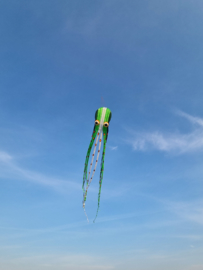 groene bonte 15 meter inktvis