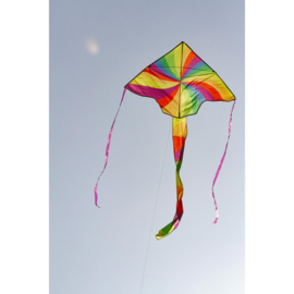 vortex rainbow flyer
