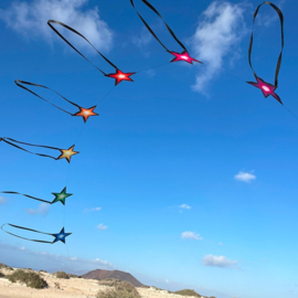 ster boog spider kites by robert brasington