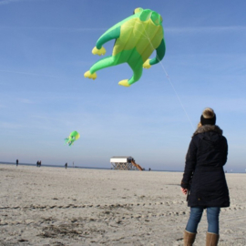 kikker wolkensturmer