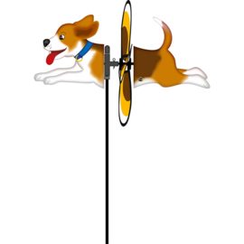 spin critter hond