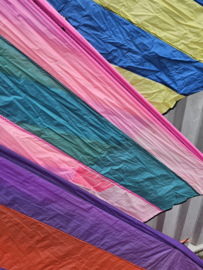 breedland delta heksenbeest