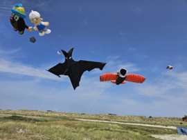 flapping bad 3 meter