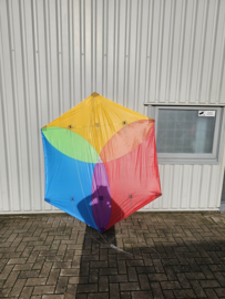 regenboog sanjo groot