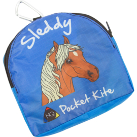 HQ Sleddy