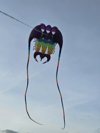 triobite regenboog 16 vierkante meter