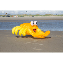 Bouncing Buddy Billy the Crab