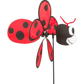 spin ladybug