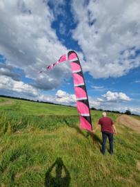 roze windfaan 6 meter b keuze