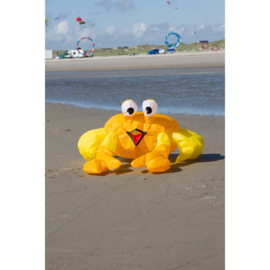 Bouncing Buddy Billy the Crab