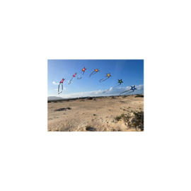 ster boog spider kites by robert brasington