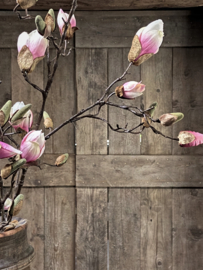 Magnolia tak kunsttak roze  - verkocht 