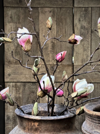 Magnolia tak kunsttak roze  - verkocht 