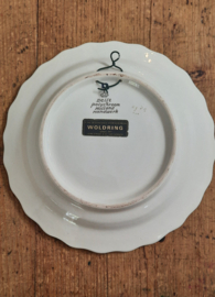 Schitterend vintage delfts polychroom bord