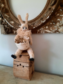 Eastern spuncotten rabbitgirl