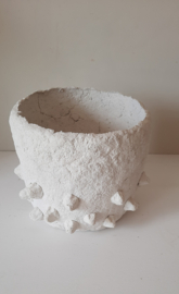 Papier maché pot