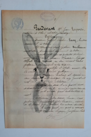 Haasafbeelding prent op oud document