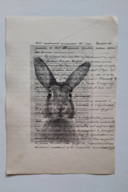 Haasafbeelding op oud Frans document