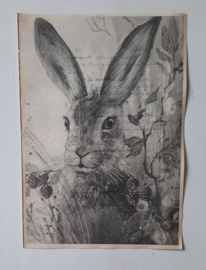Haas print op oud Frans document