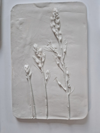 Wanddecoratie bloemen in gips