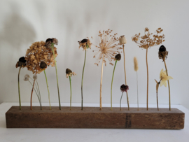 Balkje met droogbloemen