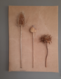 Droogbloemen op paneel met oud linnen