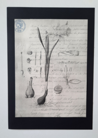 Collage botanische print