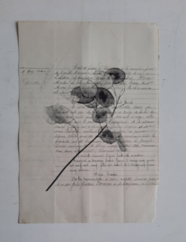 Botanische prent op oud document