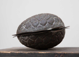 Chocolade ei  mal  groot