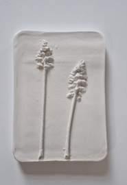 Wanddecoratie "Blauwe druifjes in gips "