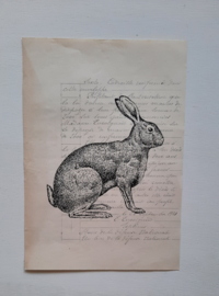Haasafbeelding oud frans document