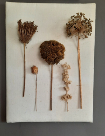 Droogbloemen op paneel met oud linnen