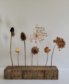 Oud Balkje met droogbloemen