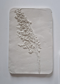 Wanddecoratie siergras in gips