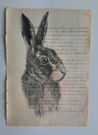 Haasafbeelding op.oud document