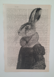 Eatern rabbit op oud document