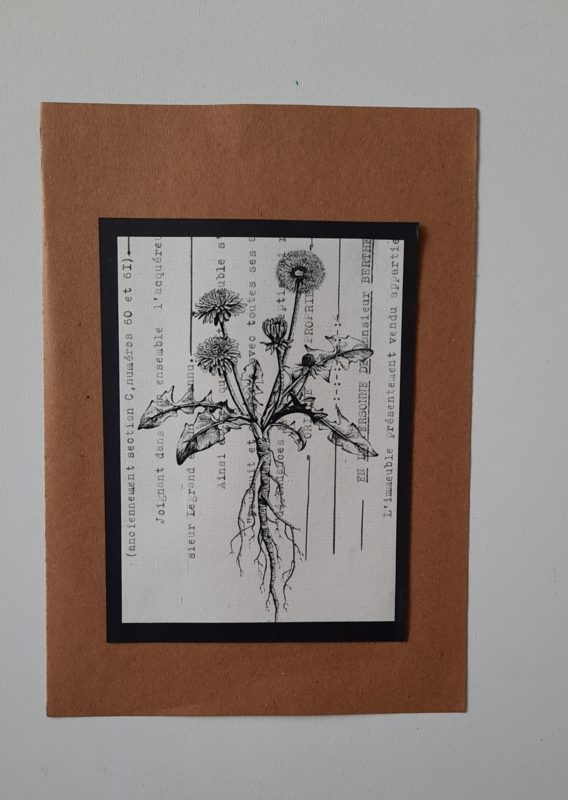 Collage botanische print