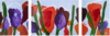 Colourfull (3-luik) (JW-029) 