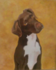Hond (AS-009) bij Lumen