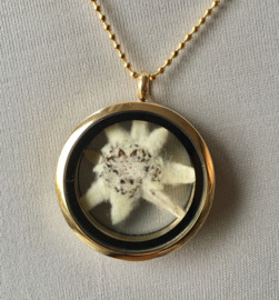 Locket hanger Echte Edelweiss voor geluk aan bolletjesketting - goudlegering