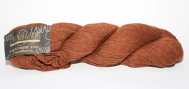 Cascade 220/Pumpkin Spice no. 2453 / 100 gram skein