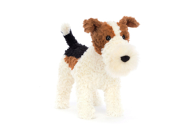 Hector Fox Terrier