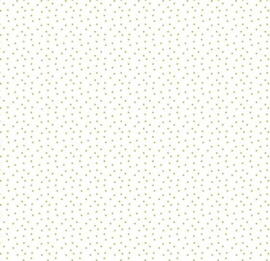 Acufactum dotted white-green