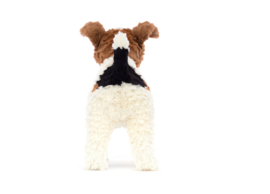Hector Fox Terrier