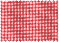 Westfalen Cotton Geruit Rood Wit